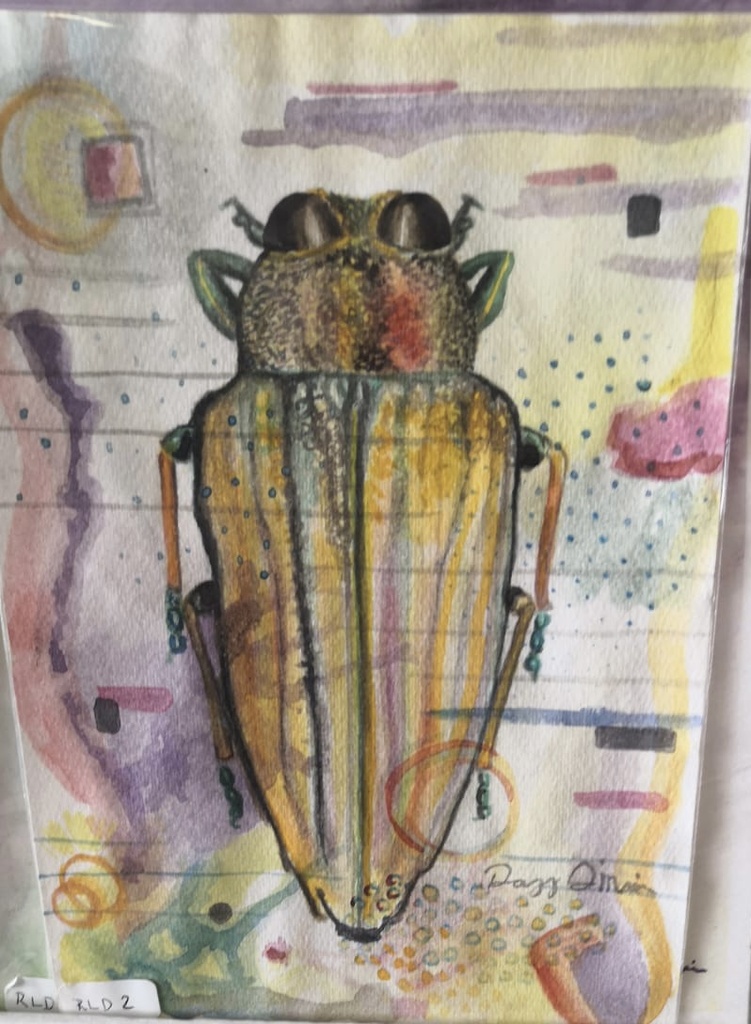 PINTURA ROSA LINDA MARIN 2