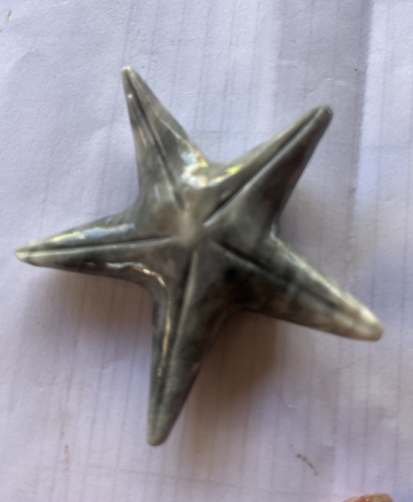 Estrella de mar onix