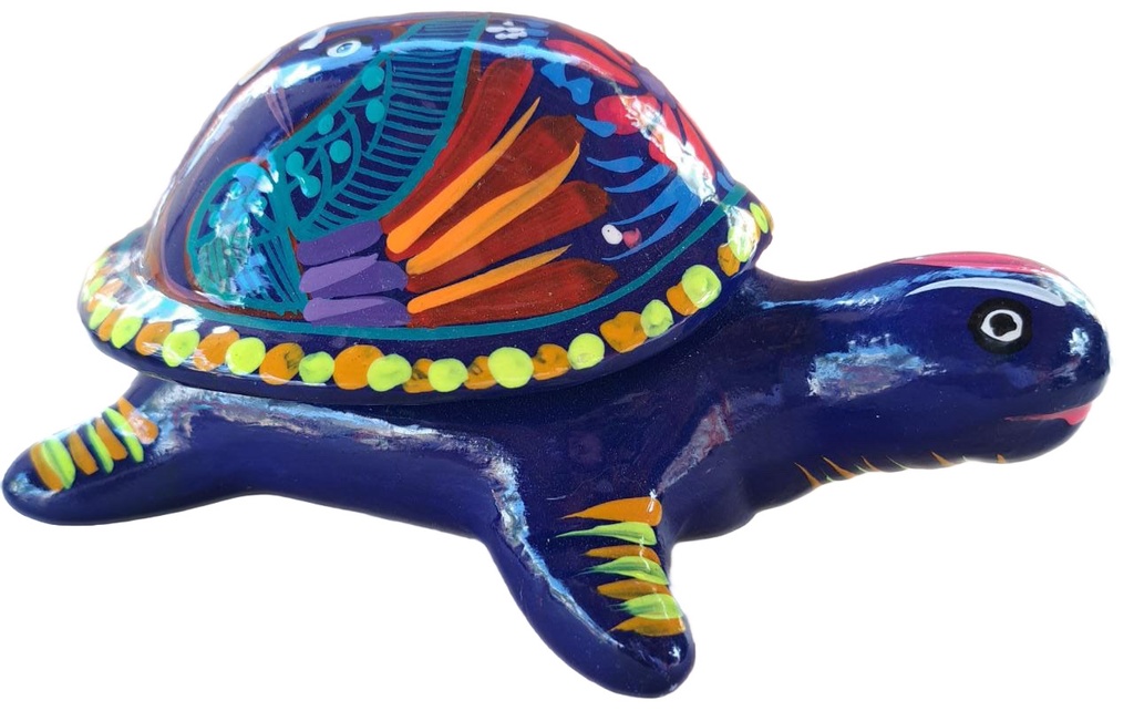 TORTUGAS GRANDES ALAJEROS