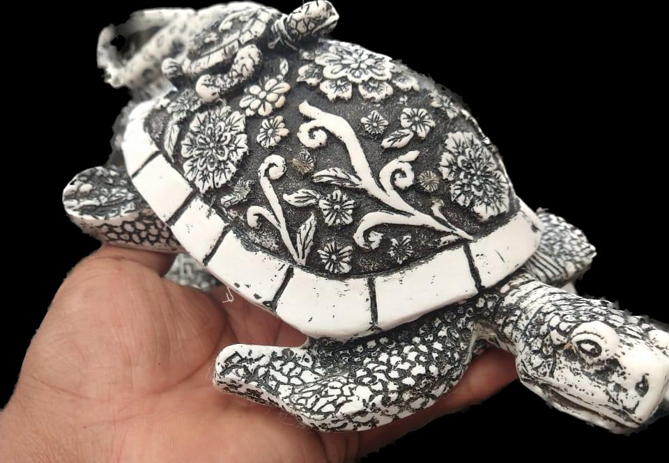 TORTUGA GRANDE CON HIJO