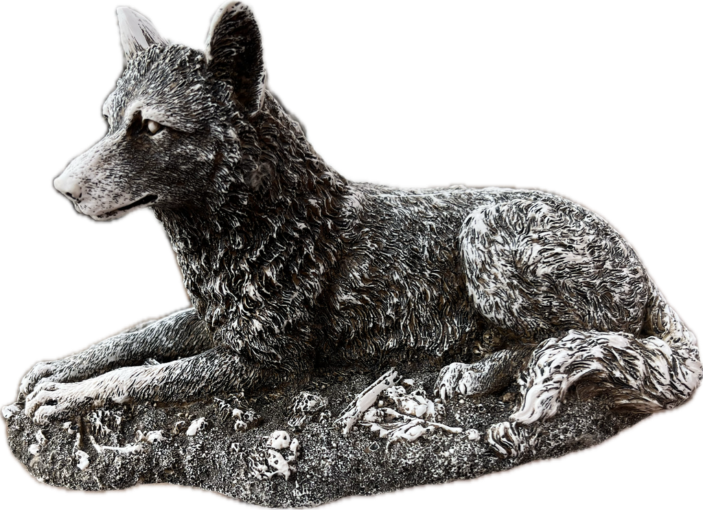 Lobo Hechado chico