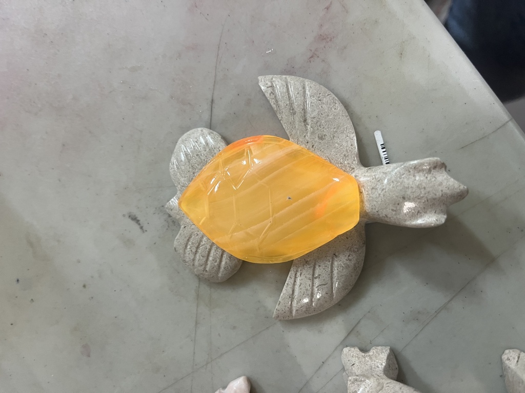 TORTUGA JUMBO