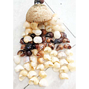 Movil Bacalar Caracolitos