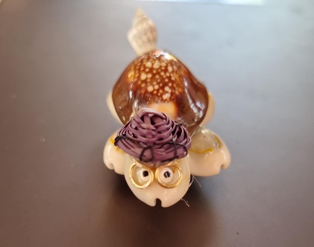 TORTUGA CARACOL