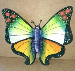 [P103] MARIPOSA MEDIANA