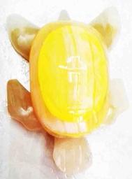 [T04] Tortuga Onix #4 c