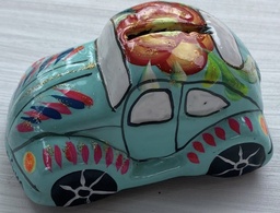 [B10] BOCHO PINTADO BARRO CH.