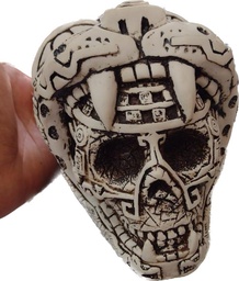 [H14] Craneo Jaguar Chico