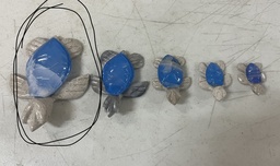 [RP05] Tortuga Onix Grande