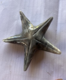 [RP21] Estrella de mar onix