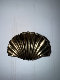 [Gp16] Pinza concha rizada