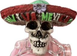 [H39] Cráneo mini sombrero Hueso